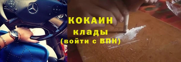 apvp Вяземский