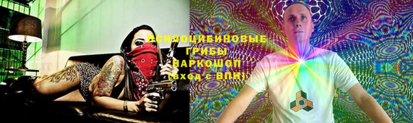 apvp Вяземский