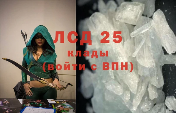apvp Вяземский