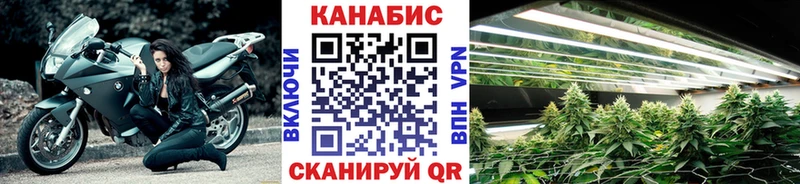 купить наркотик  мега ссылка  МАРИХУАНА White Widow  Вязники 